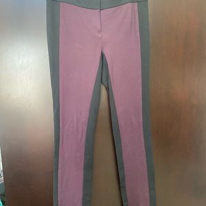 Ann Taylor dress pant